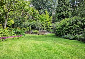 Optimiser l'expérience du jardin à Vierzy